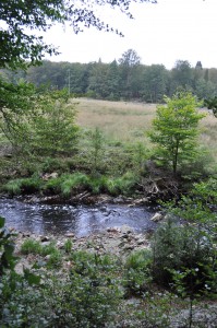 Der Fluss Hill