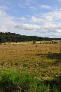 Landschaft an der Rur