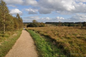 Landschaft im Hohen Venn