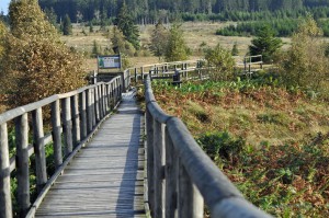 Wanderweg auf Holz