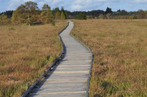 Wandern auf Stegen