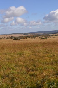 Weite Vennlandschaft