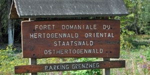 Hertogenwald