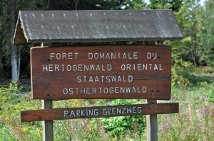 Hertogenwald