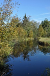 Kleiner See