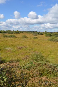 Vennlandschaft