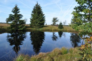 Hochmoor