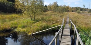 Wanderweg durch das Venn