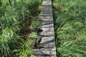 Holzwanderweg