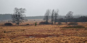 Hohes Venn im Winter