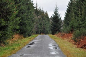 Wanderweg