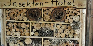 Insekten-Hotel