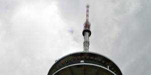 Radio-Interviews