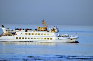 Flipper in Cuxhaven