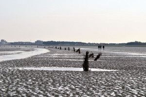 Wegmarkierung im Watt