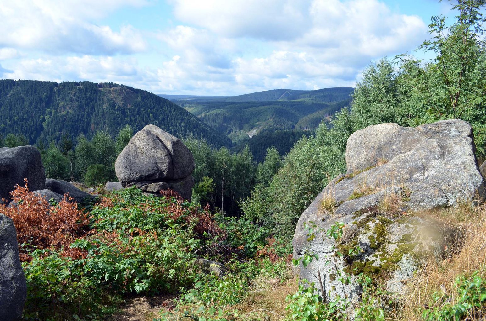 Harz