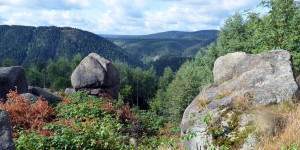 Harz