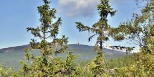 Blick auf den Brocken