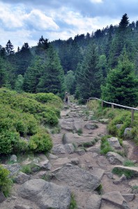 Wanderweg nach Schierke