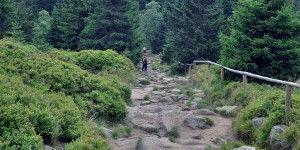 Wanderweg nach Schierke