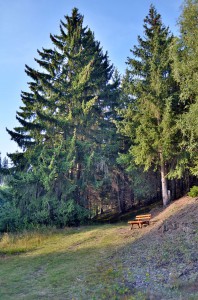 Wanderweg