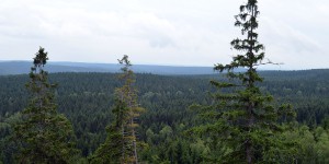 Blick über den Harz