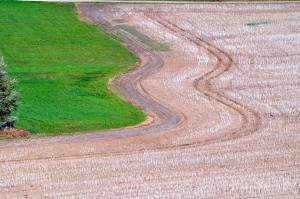 Landwirtschaft
