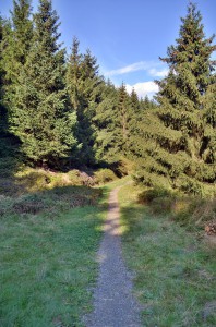 Wanderweg