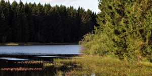 Nassenwieser Teich