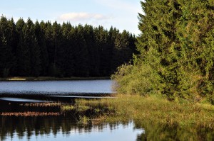 Nassenwieser Teich