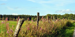 Landwirtschaft