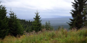 Ausblick vom Schalke