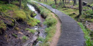 Goetheweg am Großen Torfhausmoor