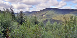 Blick auf das Okertal