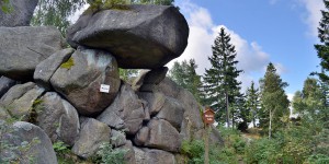 Mausefalle im Harz