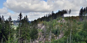 Blick vom Treppenstein