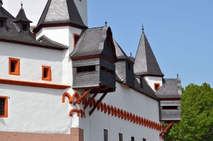 Burg Pfalzgrafenstein