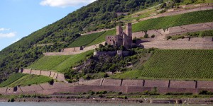 Burg Ehrenfels