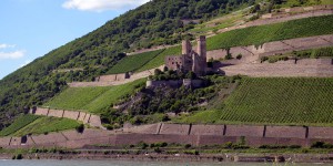 Burg Ehrenfels