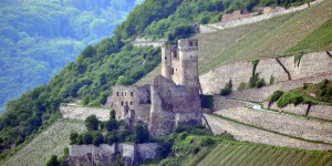 Burg Ehrenfels