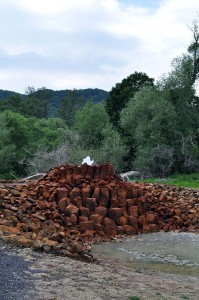 Geysir in Andernach