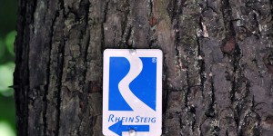 Rheinsteig