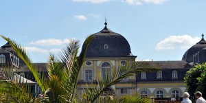 Palme am Rhein