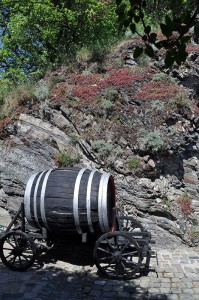 Wein