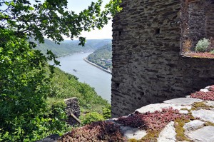 Ausblick