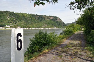 Rhein