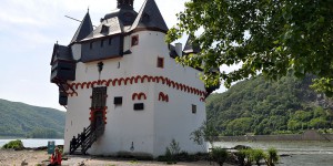 Burg Pfalzgrafenstein