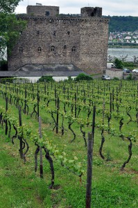 Brömser Burg in Rüdesheim