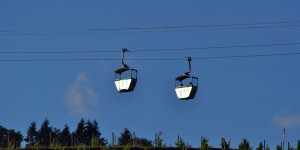 Seilbahn bei Rüdesheim