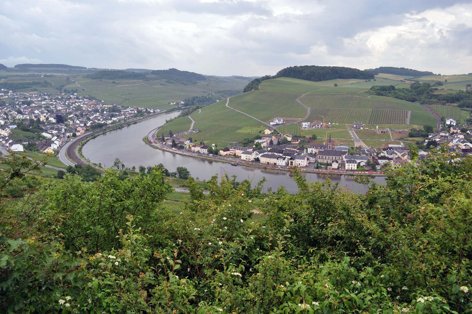 Mosel